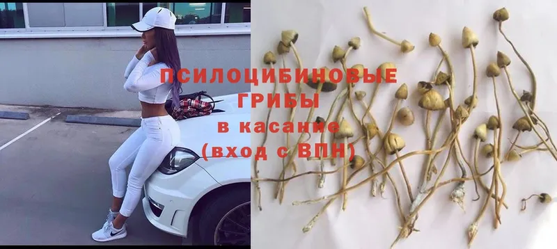 Галлюциногенные грибы Magic Shrooms  Воронеж 